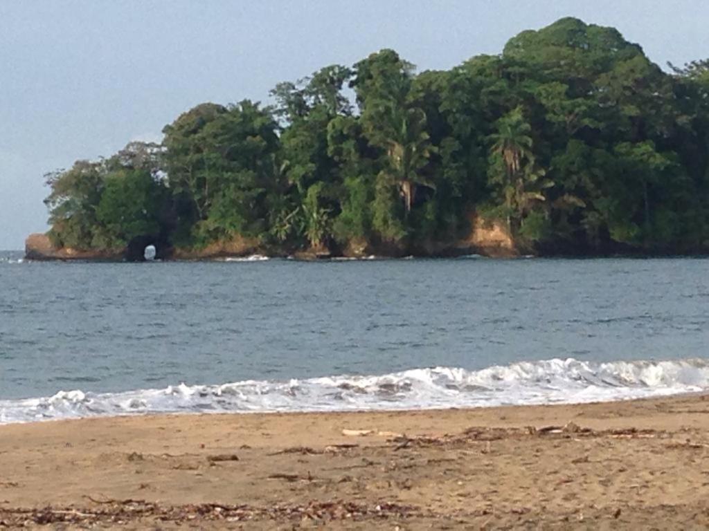 Hotel One Love Puerto Viejo Puerto Viejo de Talamanca Eksteriør billede