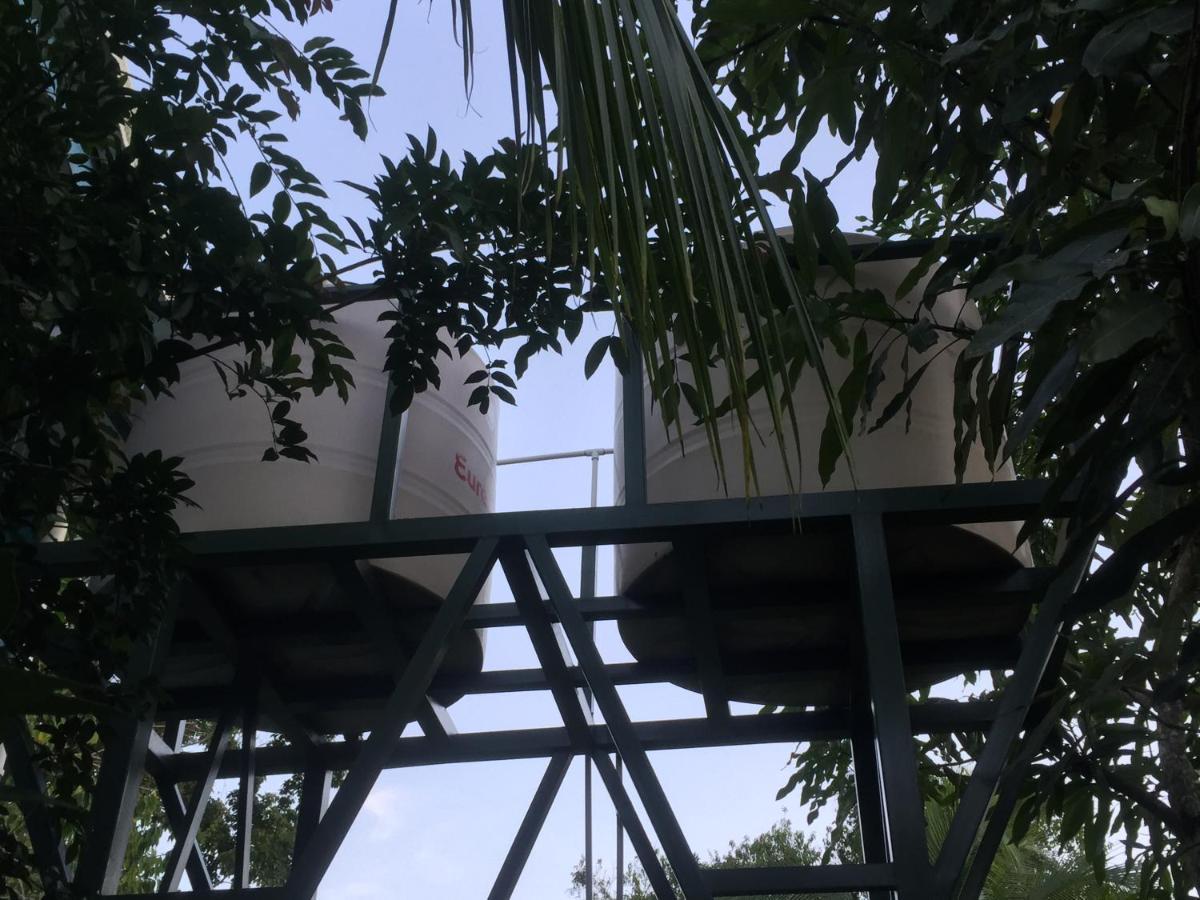 Hotel One Love Puerto Viejo Puerto Viejo de Talamanca Eksteriør billede