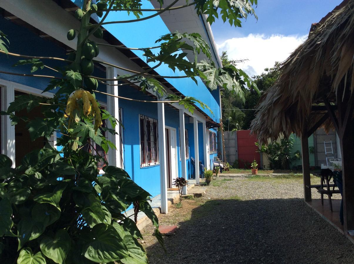 Hotel One Love Puerto Viejo Puerto Viejo de Talamanca Eksteriør billede